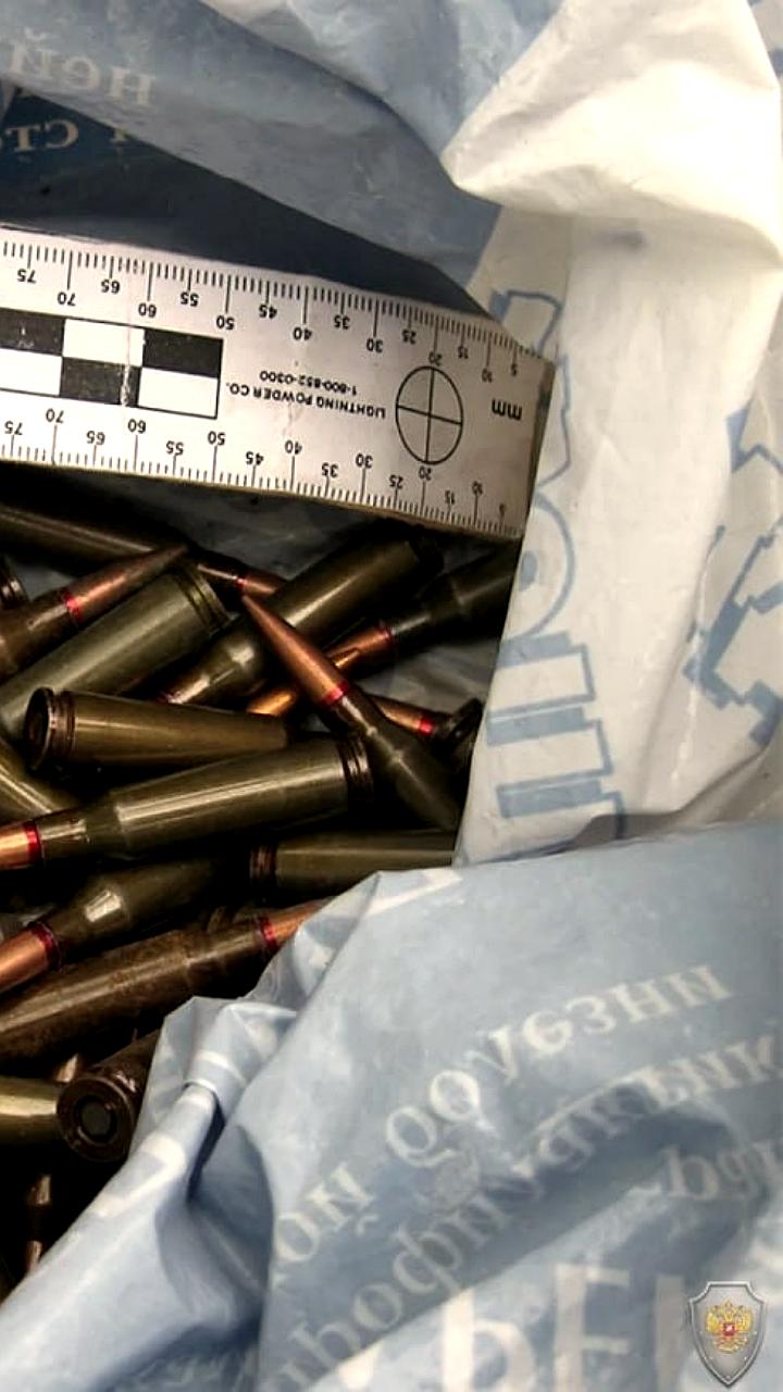 Судебные приговоры за незаконное хранение оружия в Лысьве и Мелитополе