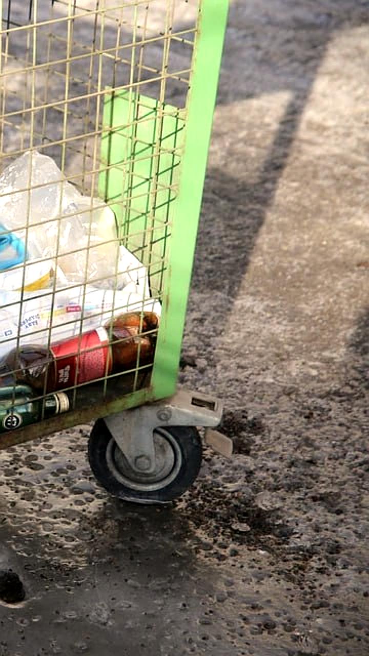 В Красноярске зарегистрированы девять случаев укусов крыс с начала года