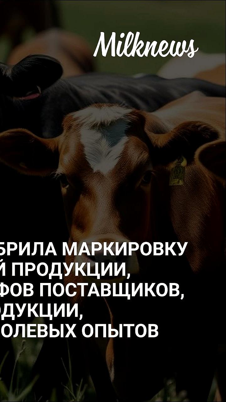 Госдума приняла законопроект, защищающий поставщиков от штрафов за несогласованные заказы