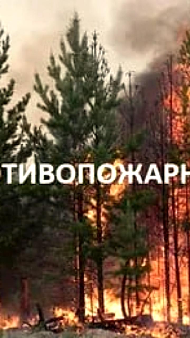 В ЛНР введен особый противопожарный режим: штрафы за нарушения уже составили 50 тыс. рублей