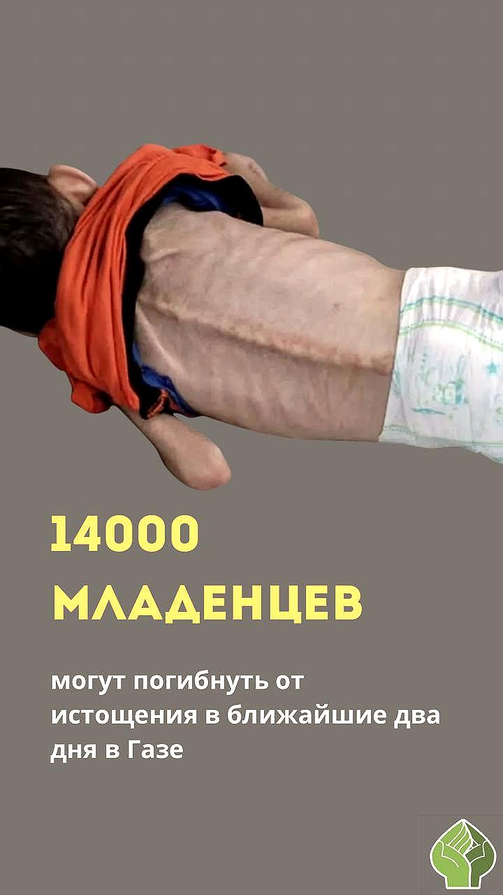 ООН предупреждает о возможной гибели 14 000 младенцев в Газе без гуманитарной помощи