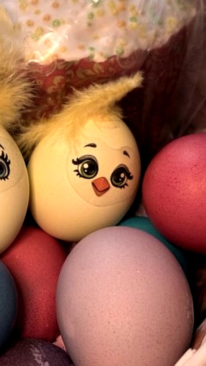 Цены на яйца и курицу снизились, несмотря на рост цен на другие продукты в Иркутской области