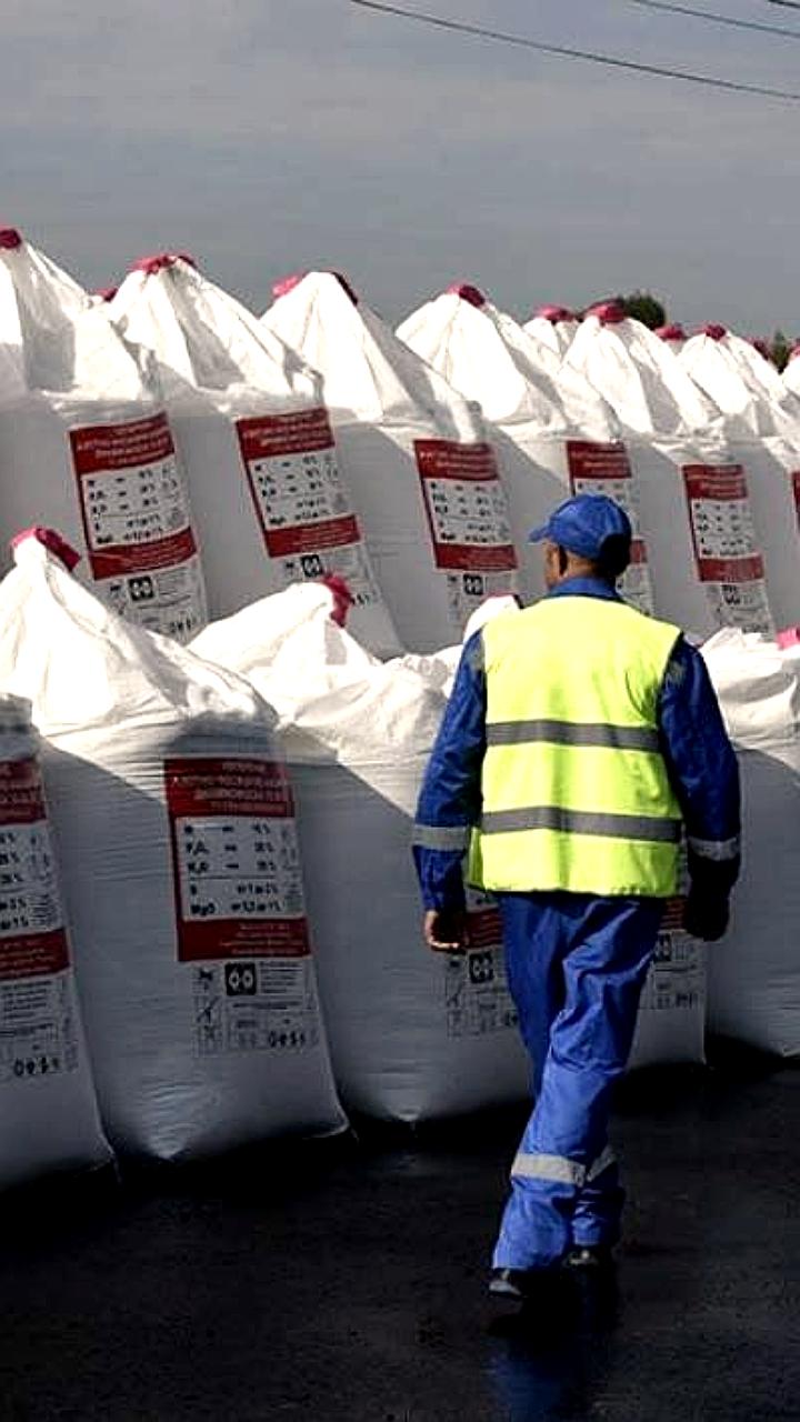 Европарламент вводит новые пошлины на сельхозпродукцию и удобрения из России и Белоруссии