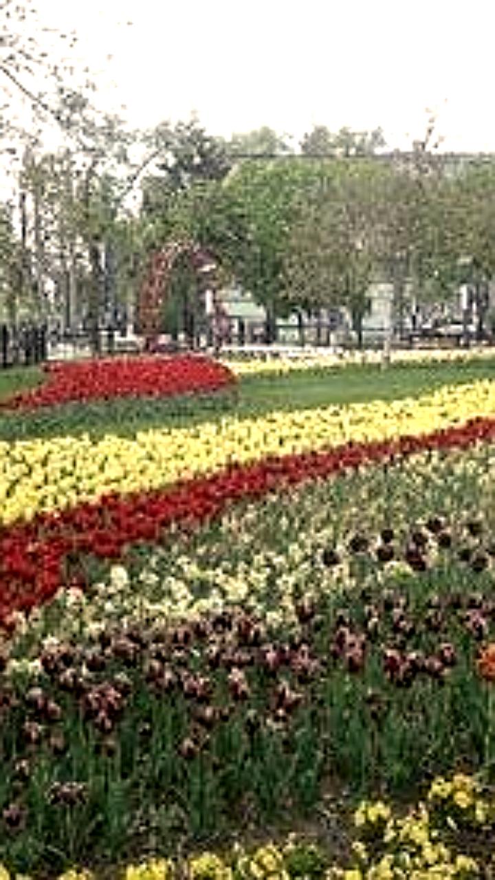 Заседание комиссии ДНР и проекты благоустройства малых городов Калужской области