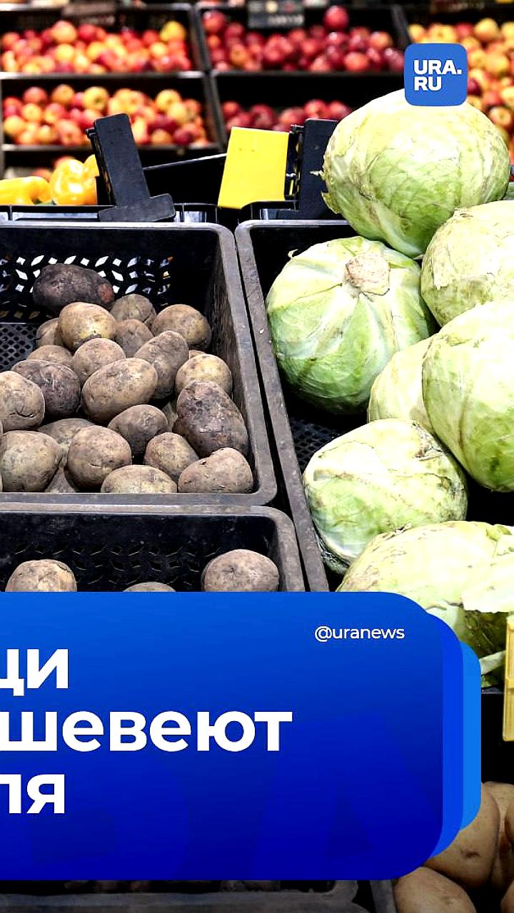 Минсельхоз прогнозирует снижение цен на овощи и картофель с июля