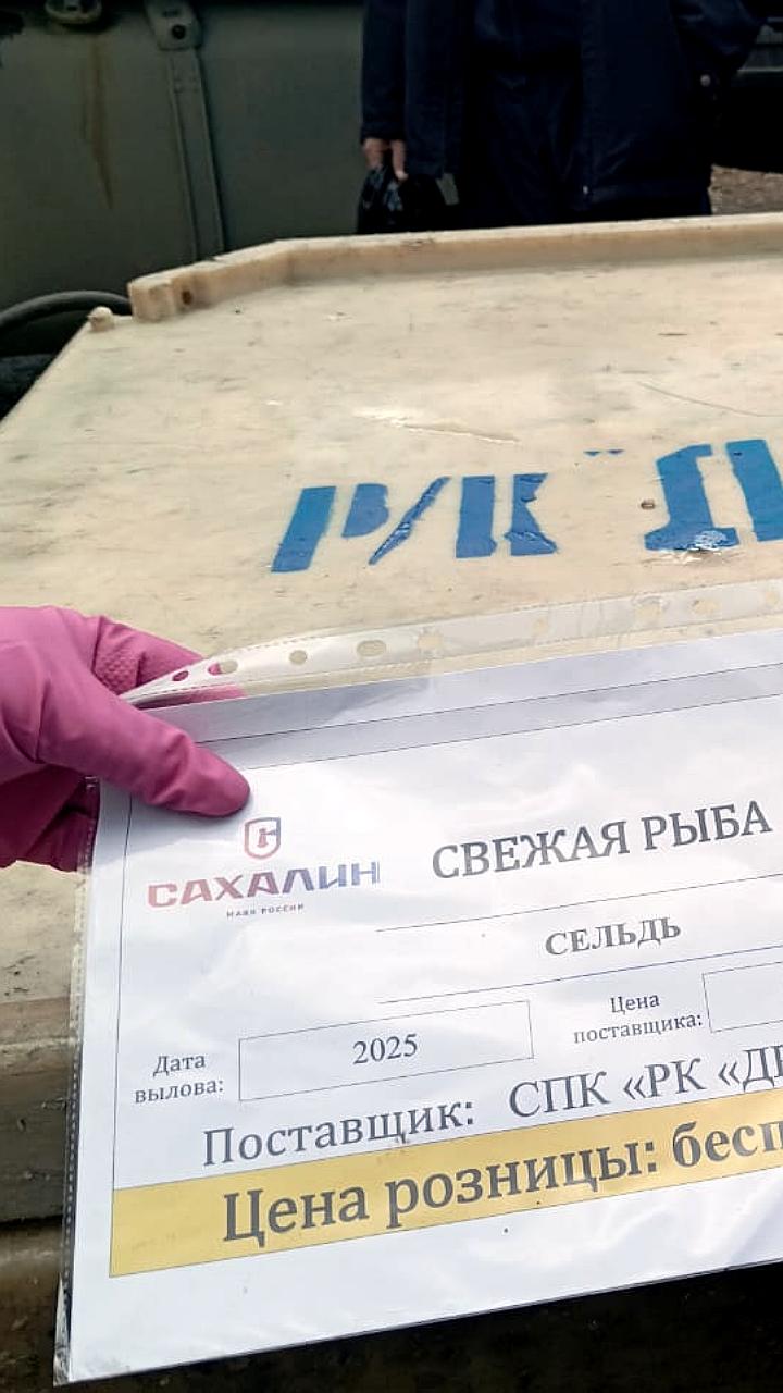 Бесплатная раздача свежей сельди жителям Корсаковского района