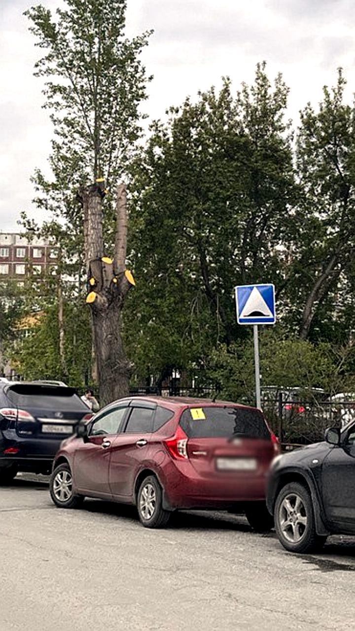 В России предложили увеличить налоги на старые автомобили для стимулирования покупок новых Lada