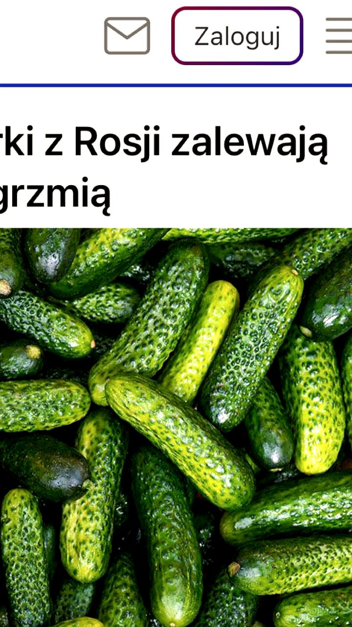 Польские производители огурцов требуют запрета на российскую продукцию
