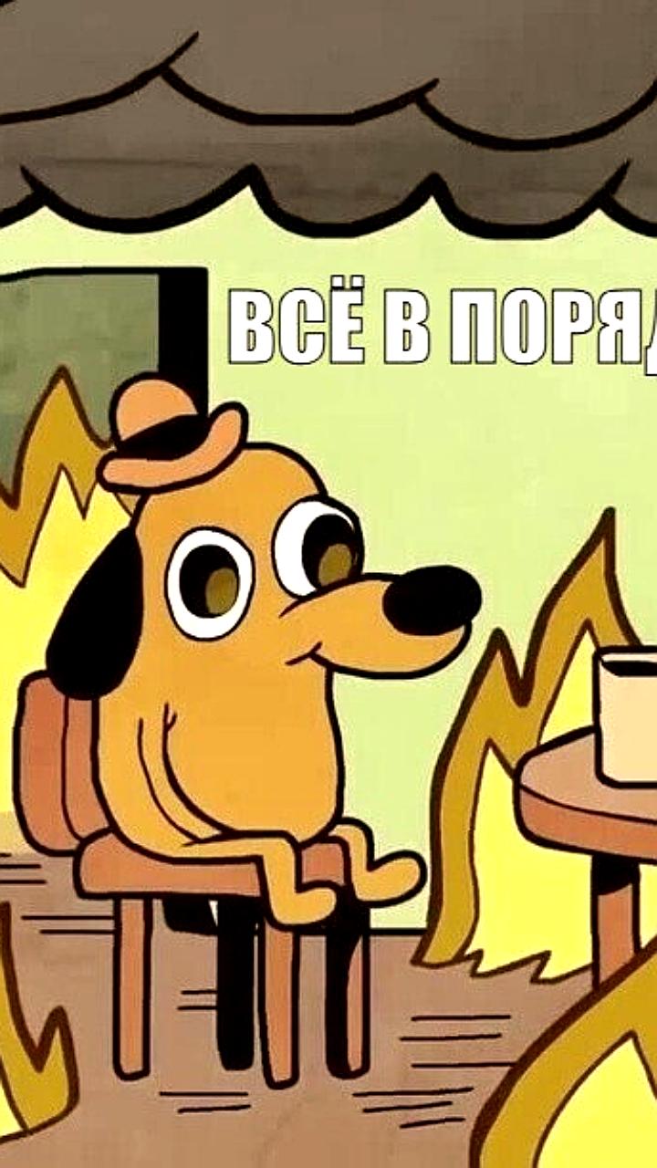Литва прекращает признание небиометрических российских паспортов с 1 июня 2025 года