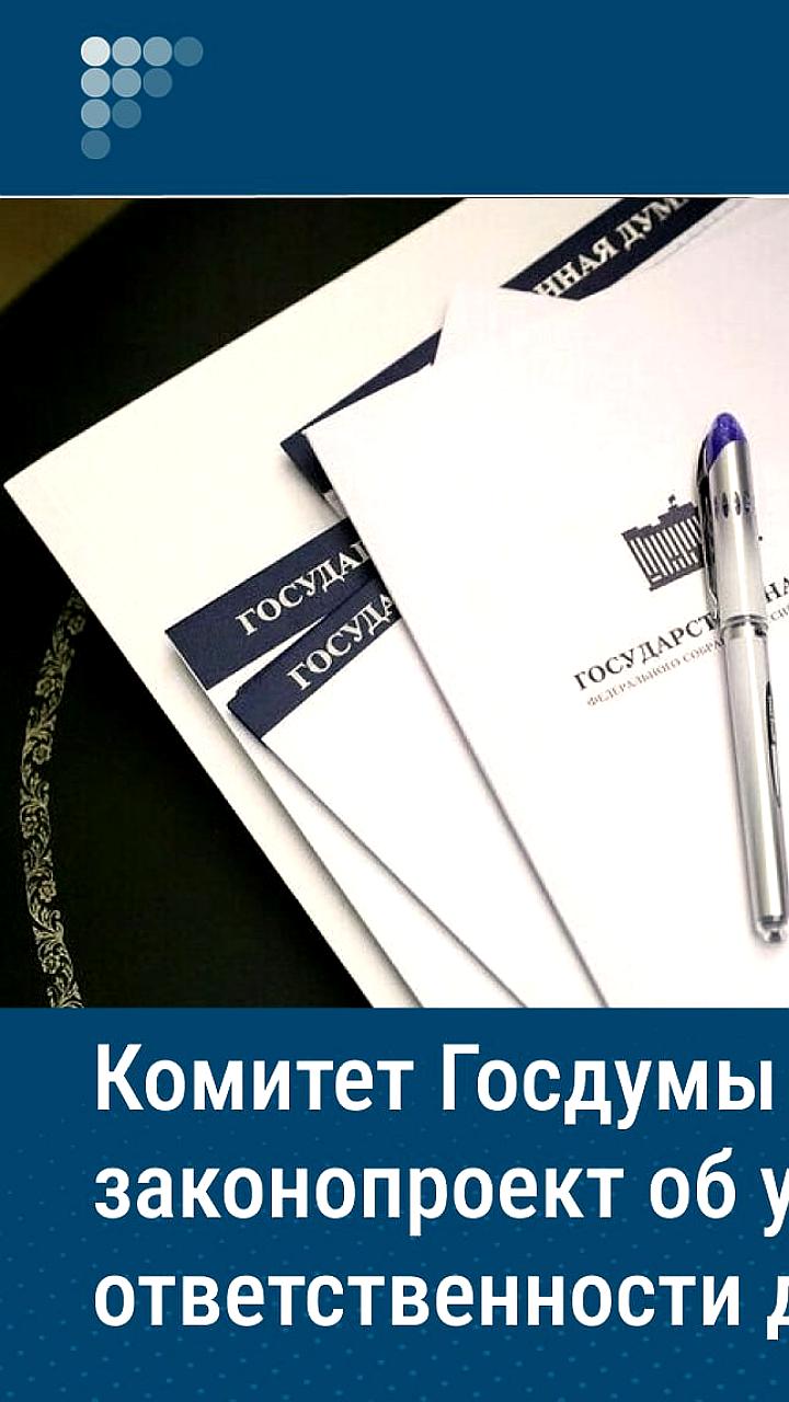 Госдума одобрила законопроект об уголовной ответственности для дропперов