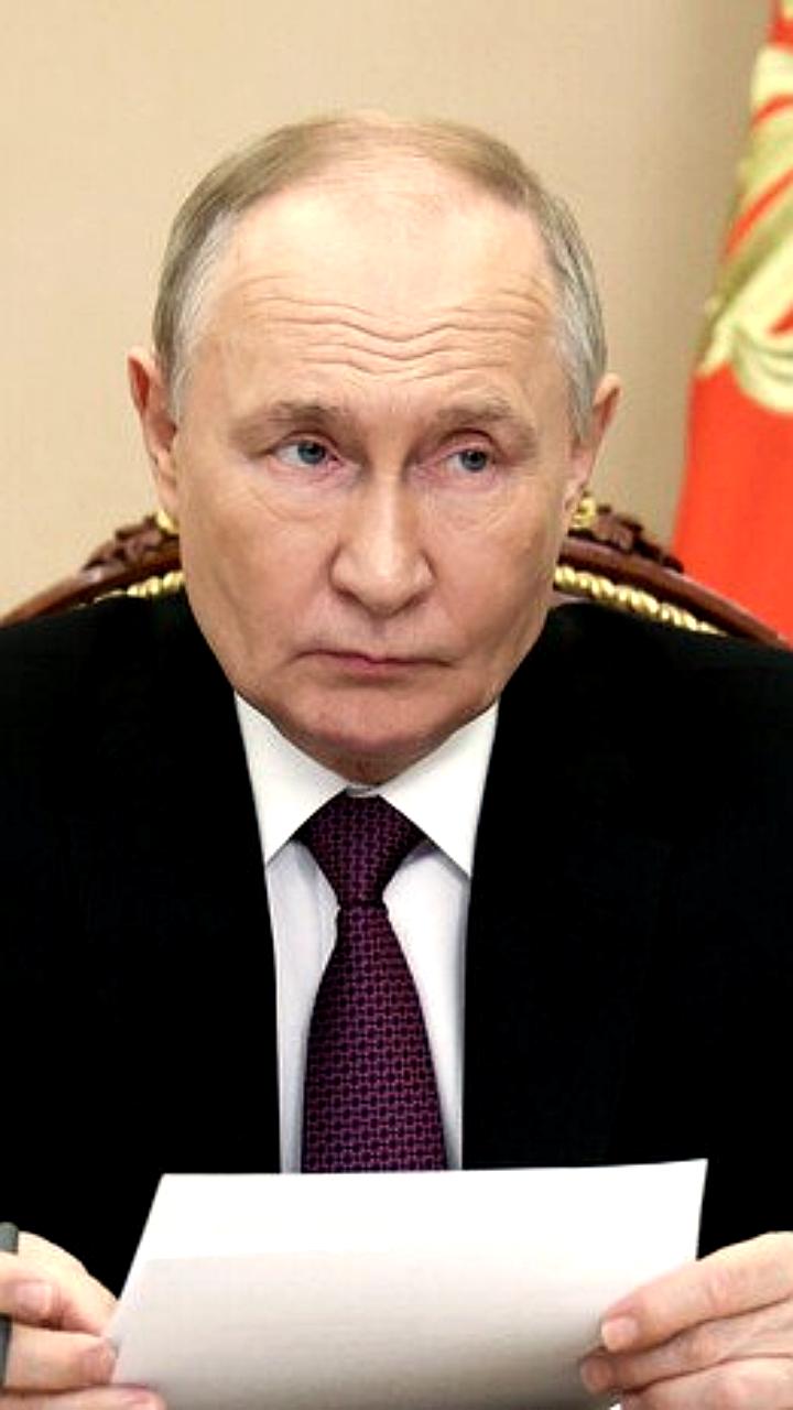 Путин: Россия не создаст условия для возвращения McDonald's