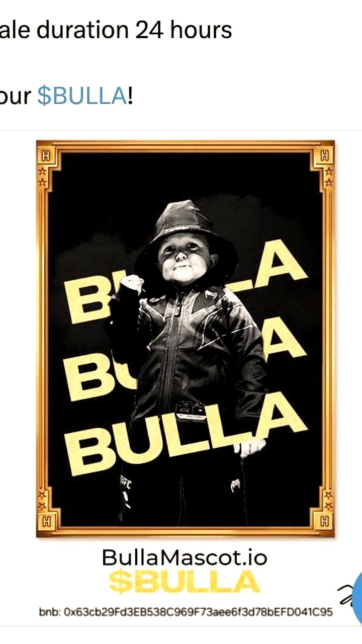 Хасбик запускает шиткоин BULLA, собрав почти 7 миллионов долларов за 7 часов