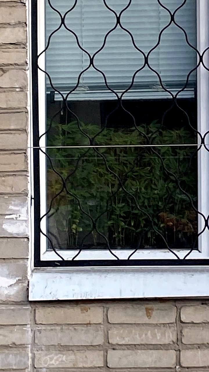 Полиция задерживает мужчин за незаконный оборот наркотиков в Хабаровске и Калмыкии