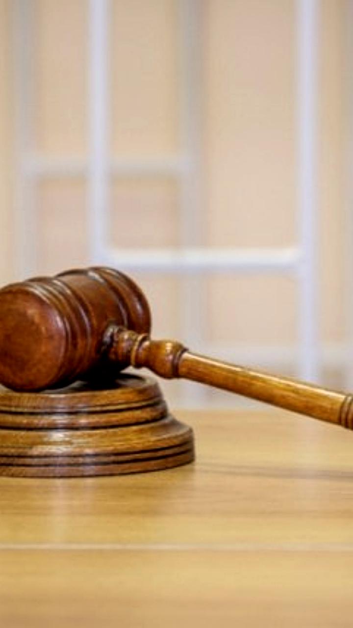 Сочинская студентка выиграла суд против администрации из-за нападения собаки