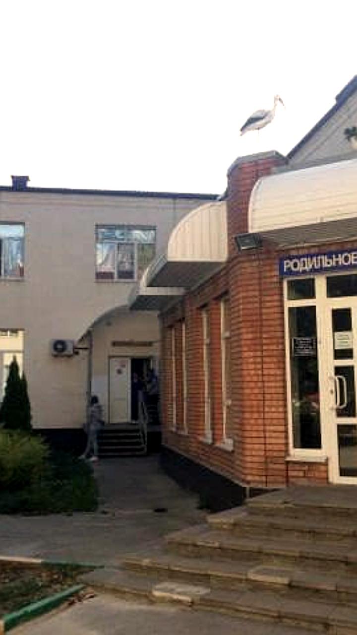 В Батайске закрывается единственный роддом, рожениц направят в Ростов