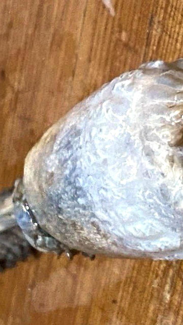 Неизвестное существо найдено в камбале рыбаками из Магадана