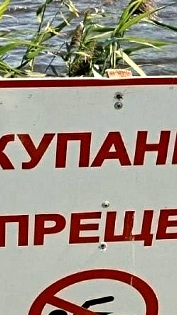 В Екатеринбурге введен запрет на купание в городских водоемах