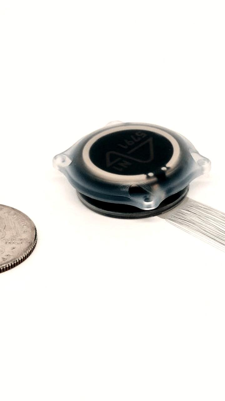 Neuralink Илона Маска привлекает $600 млн при оценке в $9 млрд