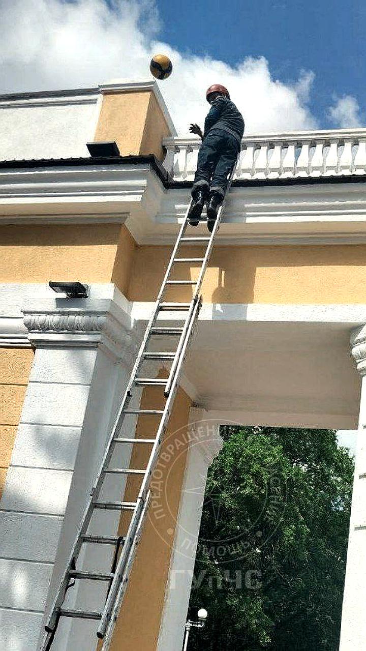 Спасатели помогли котёнку и вернули мяч детям в столице