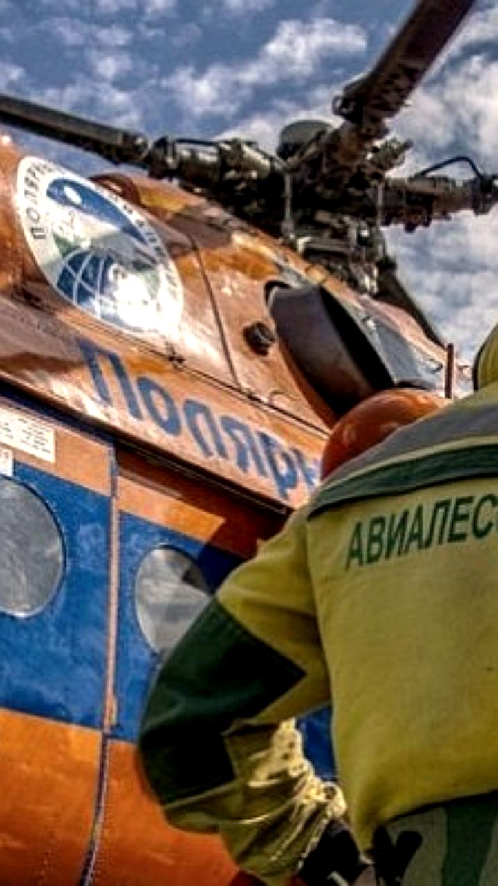 Авиалесоохрана предупреждает о высоком риске лесных пожаров в Архангельской и Тюменской областях