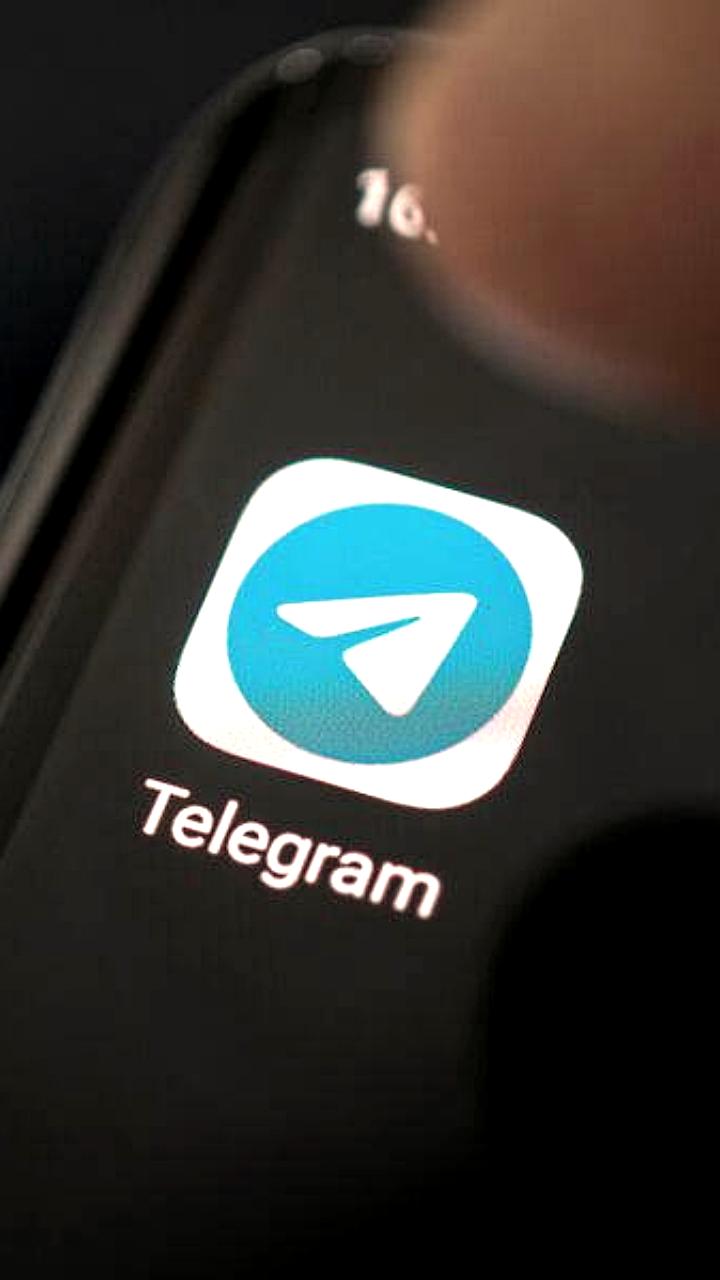 Суд оштрафовал Telegram на 4 млн рублей за отказ удалить ЛГБТ-каналы