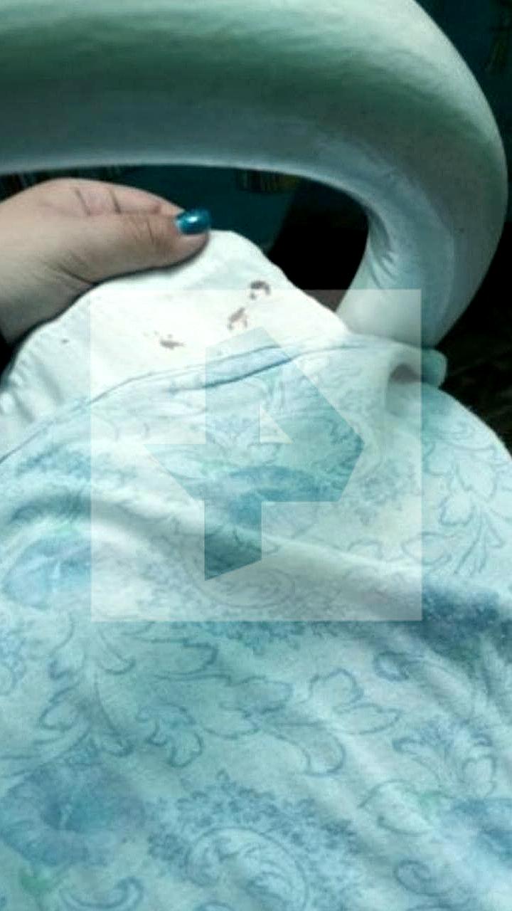 Родители детей в лагере 'Золотой колос' в Краснодарском крае жалуются на антисанитарные условия