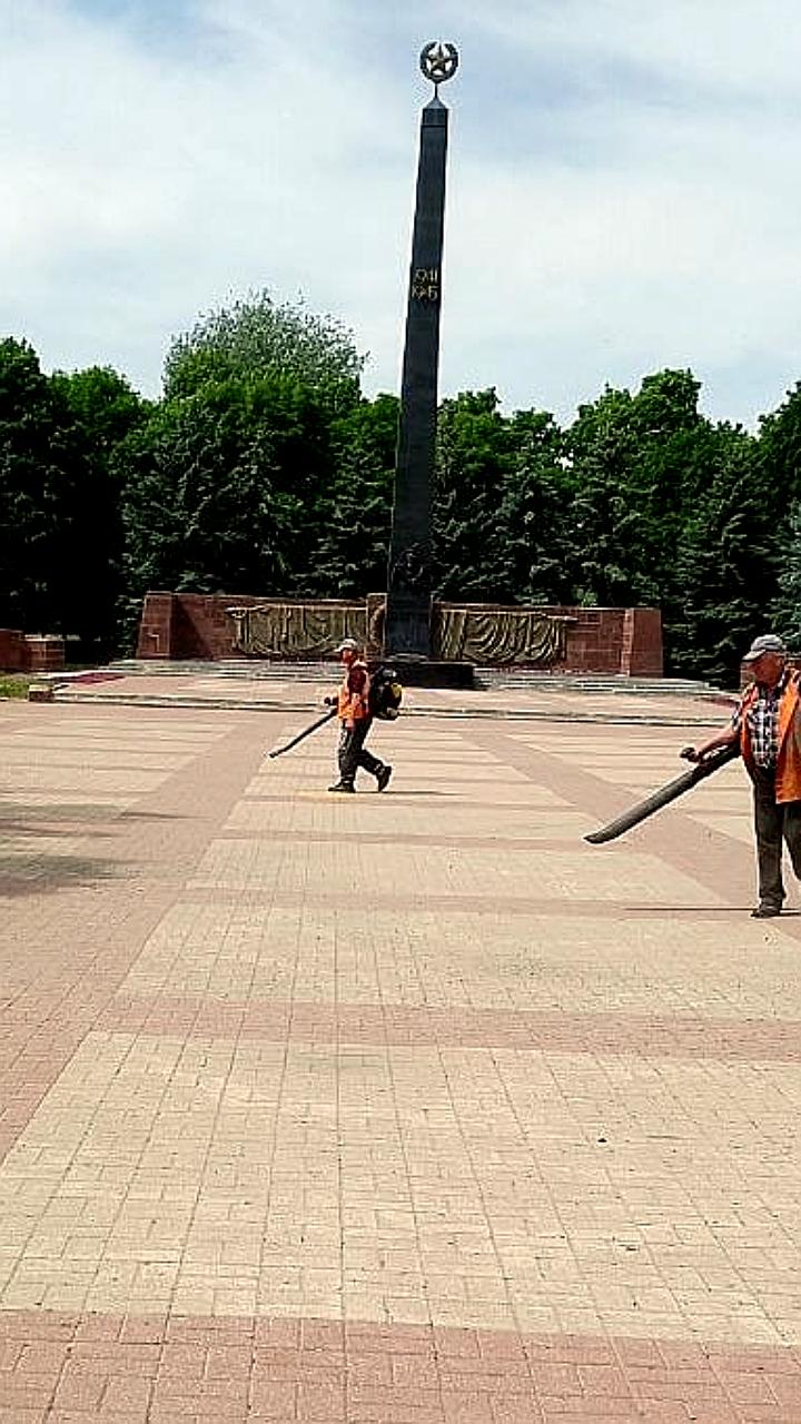 В Рязани создадут мобильную бригаду для благоустройства зелёных зон