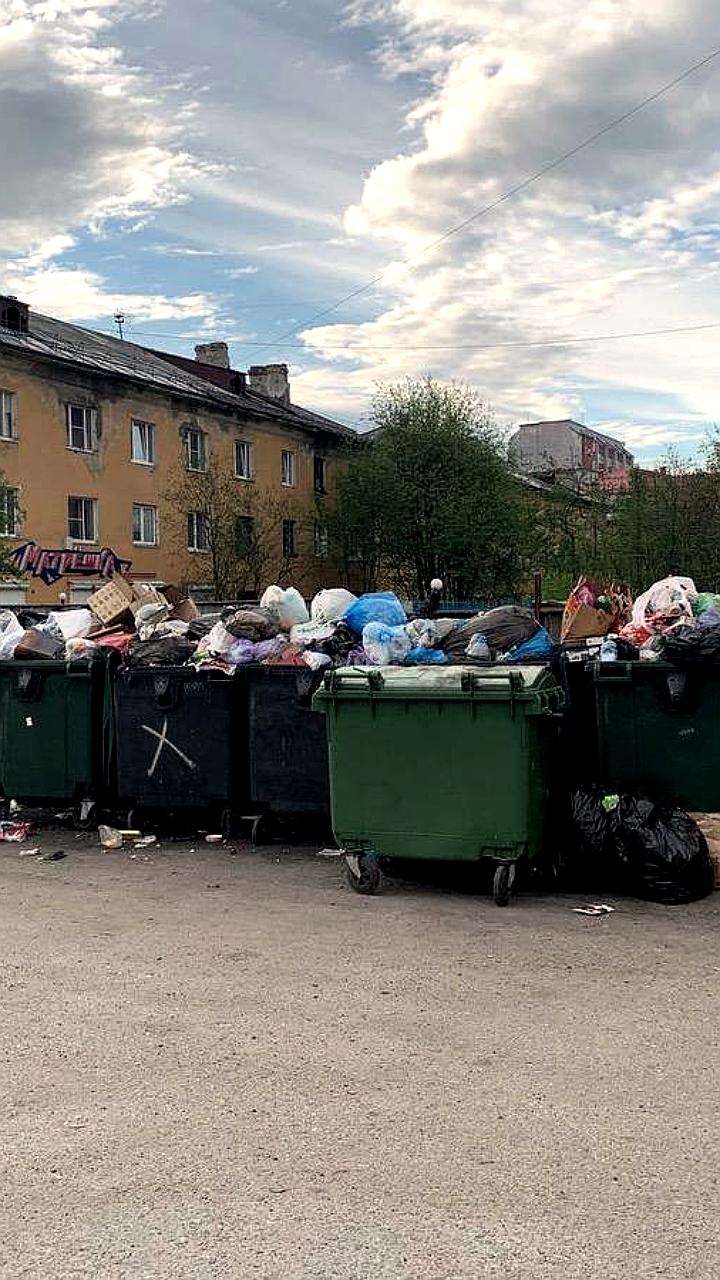 Пять регионов России лидируют по числу жалоб на вывоз мусора