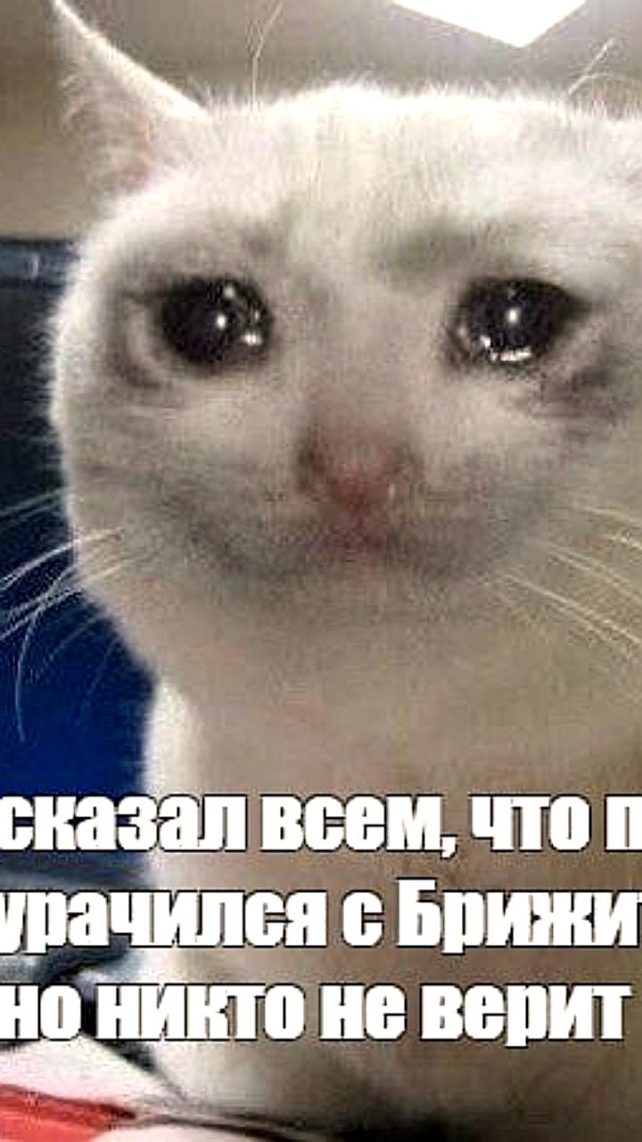 Песков прокомментировал инцидент с пощечиной Макрону от жены