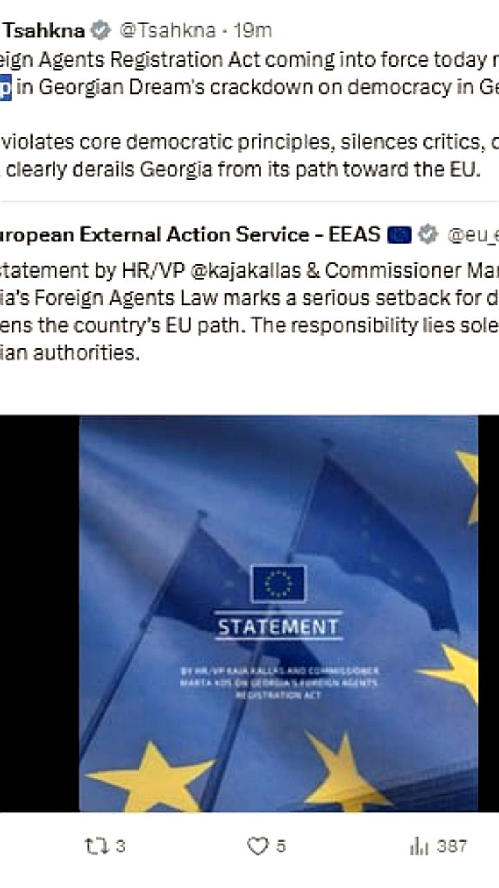 Грузия принимает закон об иноагентах, вызывающий критику ЕС