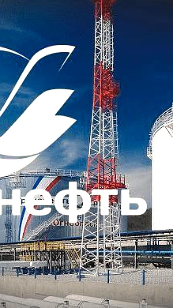 Совет директоров «Транснефти» рекомендовал дивиденды в 198,25 рублей на акцию за 2024 год