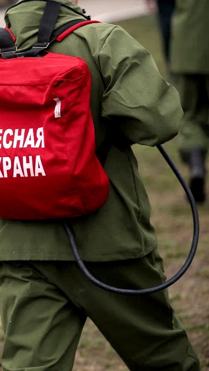В Татарстане введены ограничения на посещение лесов из-за пожароопасности
