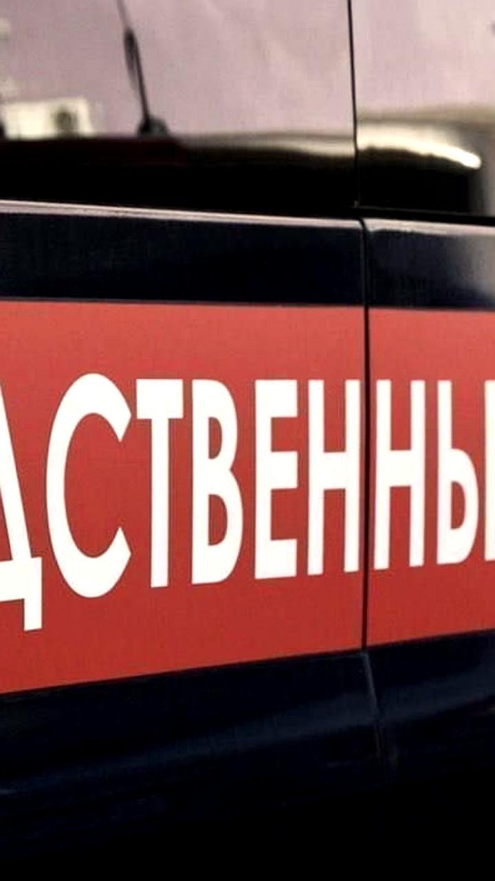 Жительница Херсонской области предстанет перед судом за публичные призывы против безопасности России