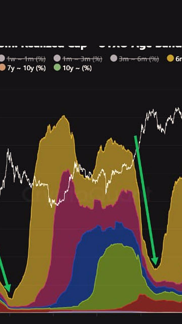 Альткоины могут вырасти на фоне снижения доминирования BTC, согласно CryptoQuant