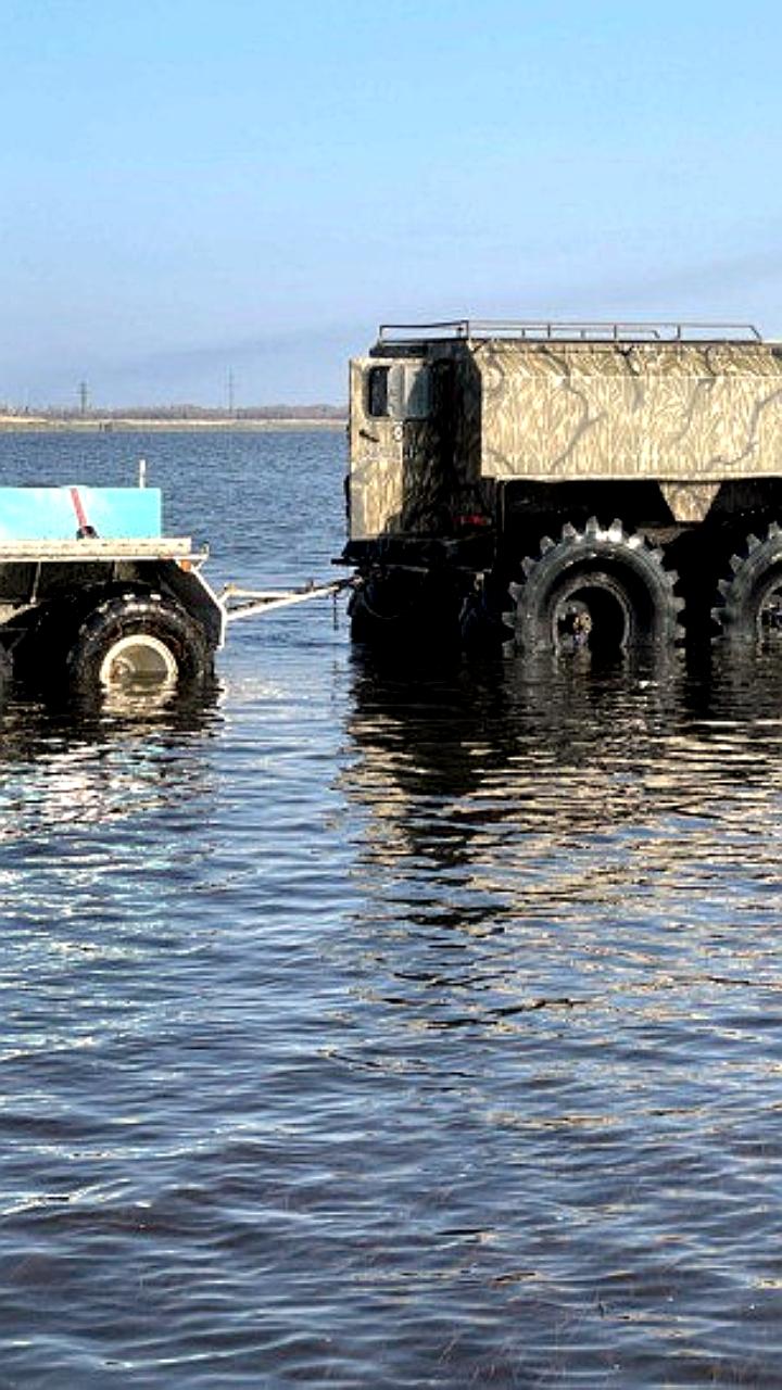 На Сахалине выпустят более миллиарда мальков лососей в нерестовые реки