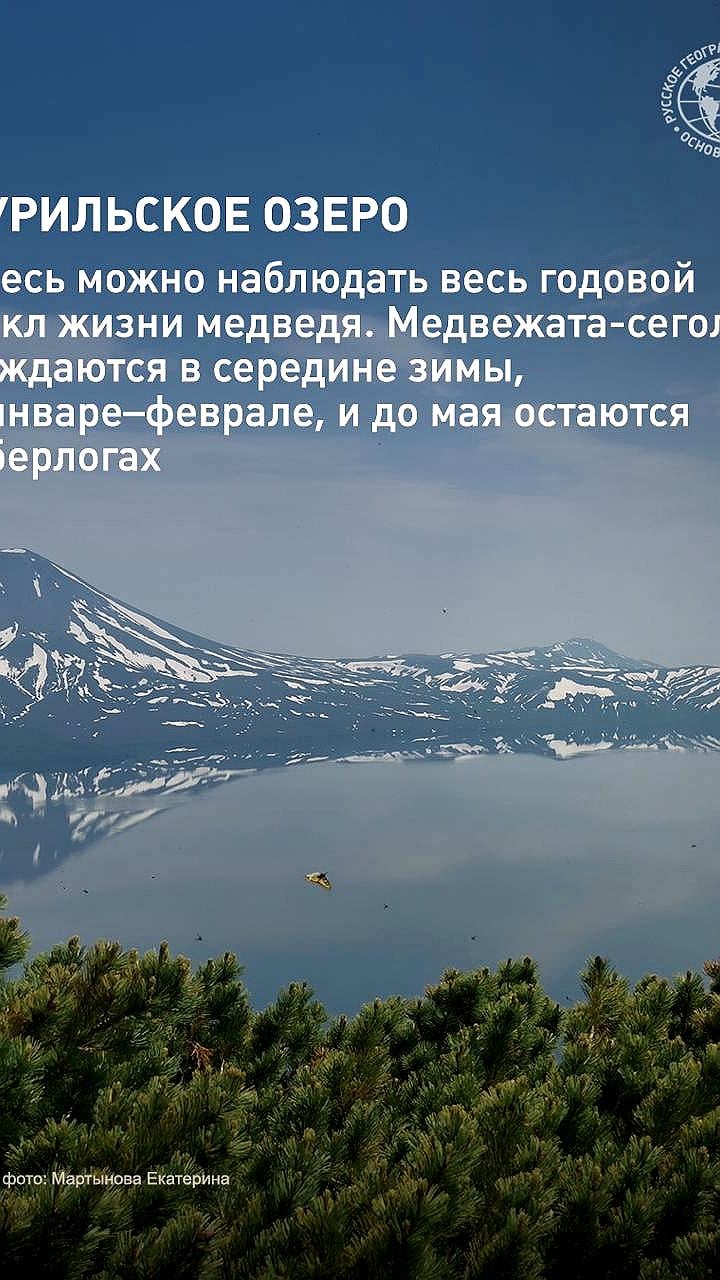 На Камчатке стартуют научно-популярные маршруты по наблюдению за медведями и серыми китами