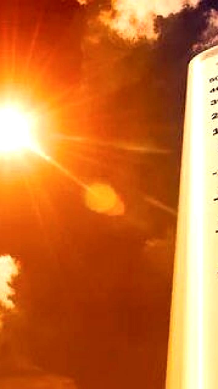 МЧС предупреждает об аномальной жаре в Алтайском крае до 30°C