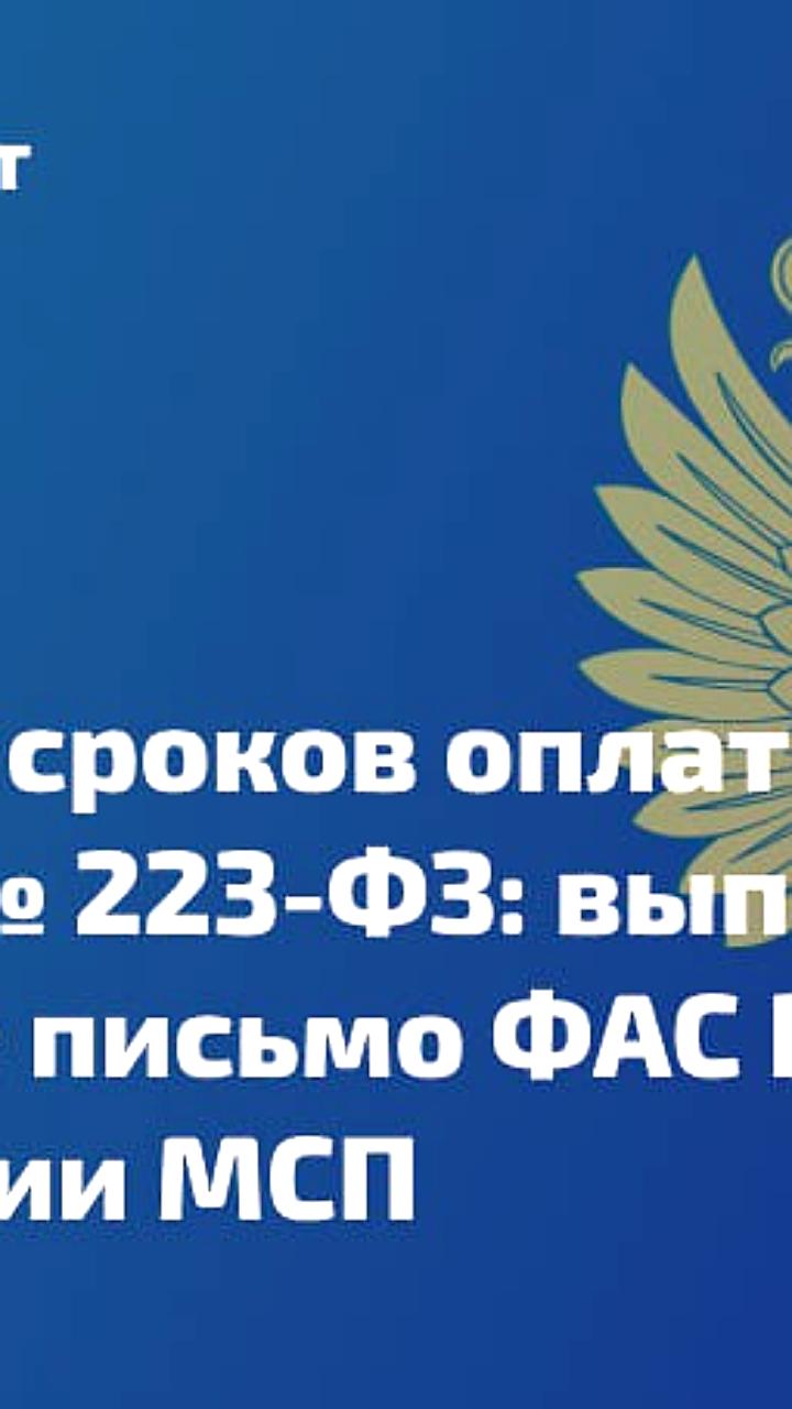 ФАС и Корпорация МСП усиливают контроль за сроками оплаты в госзакупках