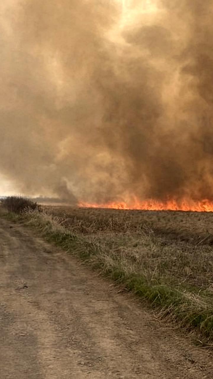 Пожарные Камчатки ликвидировали 15 возгораний на площади 2,5 Га за выходные