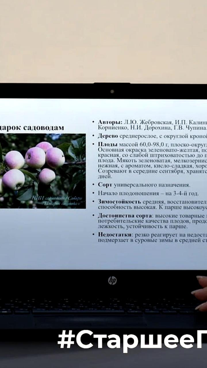 В Эсто-Алтай прошел аграрный форум с новыми сортами и технологиями