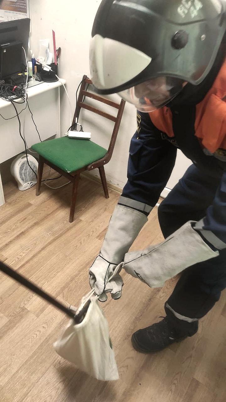 Спасатели успешно извлекли змею из детского сада в Анапе