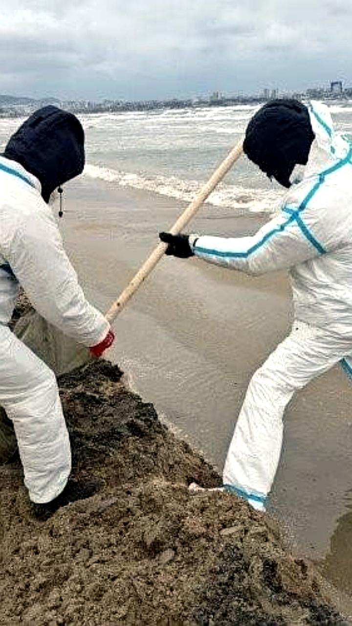 В Анапе продолжается контроль за состоянием пляжей без новых загрязнений