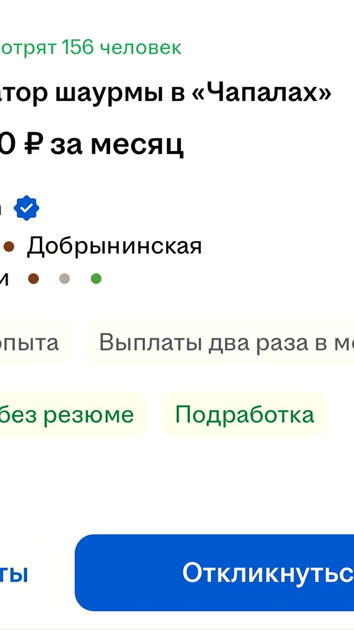 В Москве открыта вакансия дегустатора шаурмы с зарплатой 475 тысяч рублей