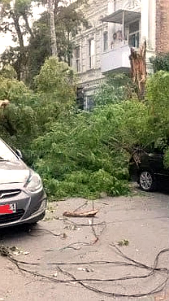 Деревья падают на автомобили в Кирове и Ульяновске, пострадавших нет
