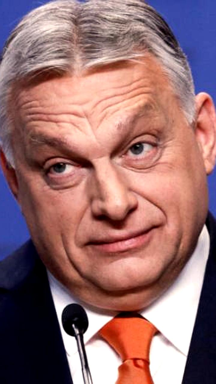 Россия избрана в Экономический и Социальный Совет ООН на 2026-2028 годы