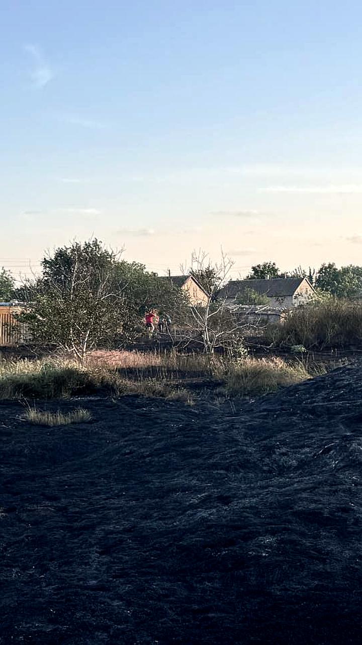 В Курске произошло первое лесное возгорание года, быстро потушенное пожарными