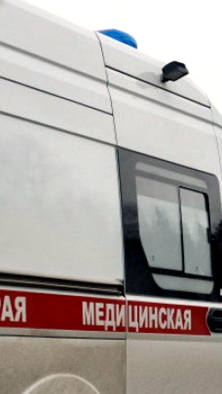 Два подростка в Ленобласти госпитализированы после укусов ядовитых змей