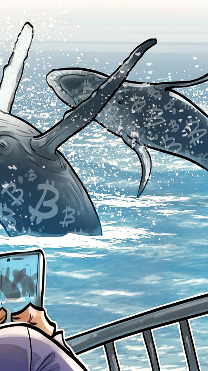 Киты накапливают 79,244 BTC за неделю, общее число кошельков достигает 151,820