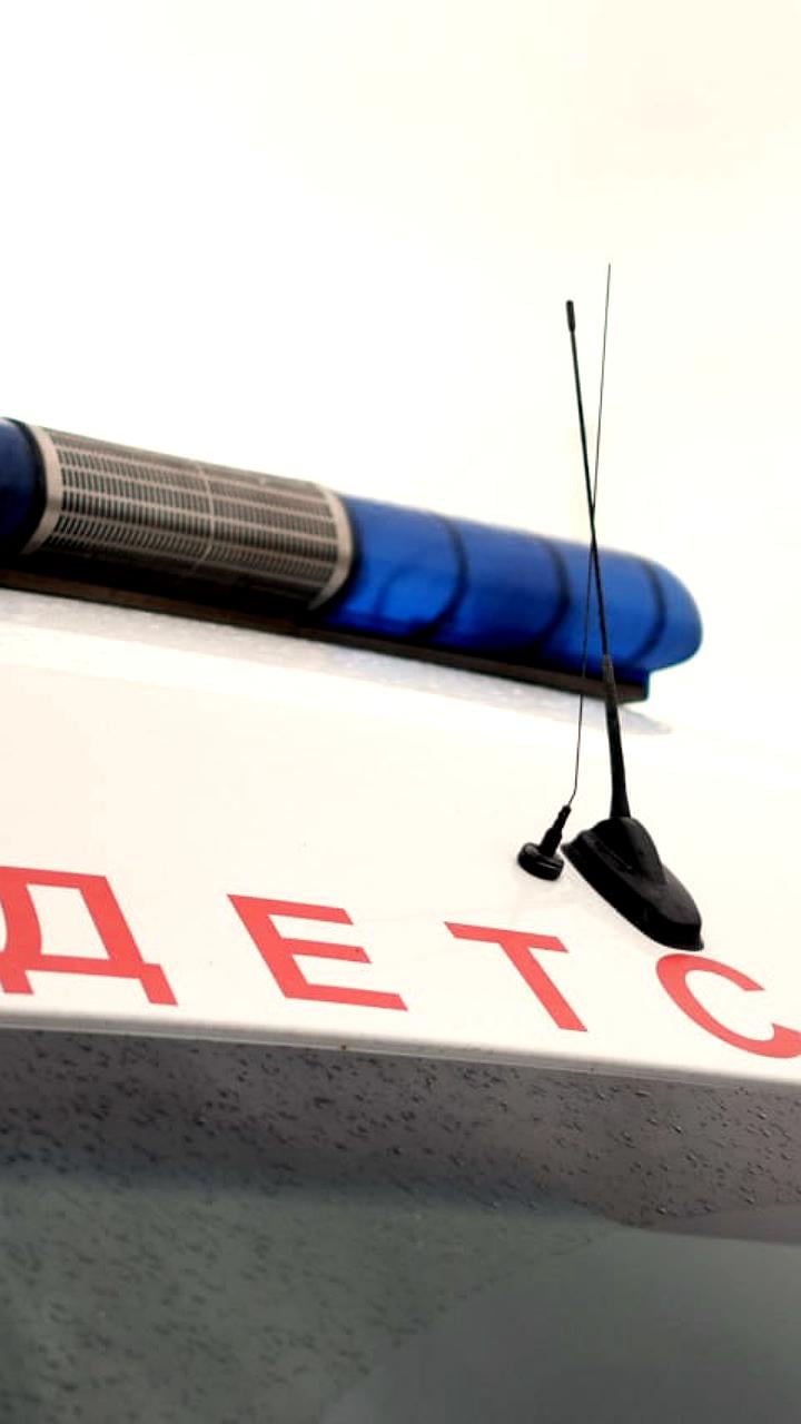 Дети Тайваня спасли собаку, застрявшую между плитами