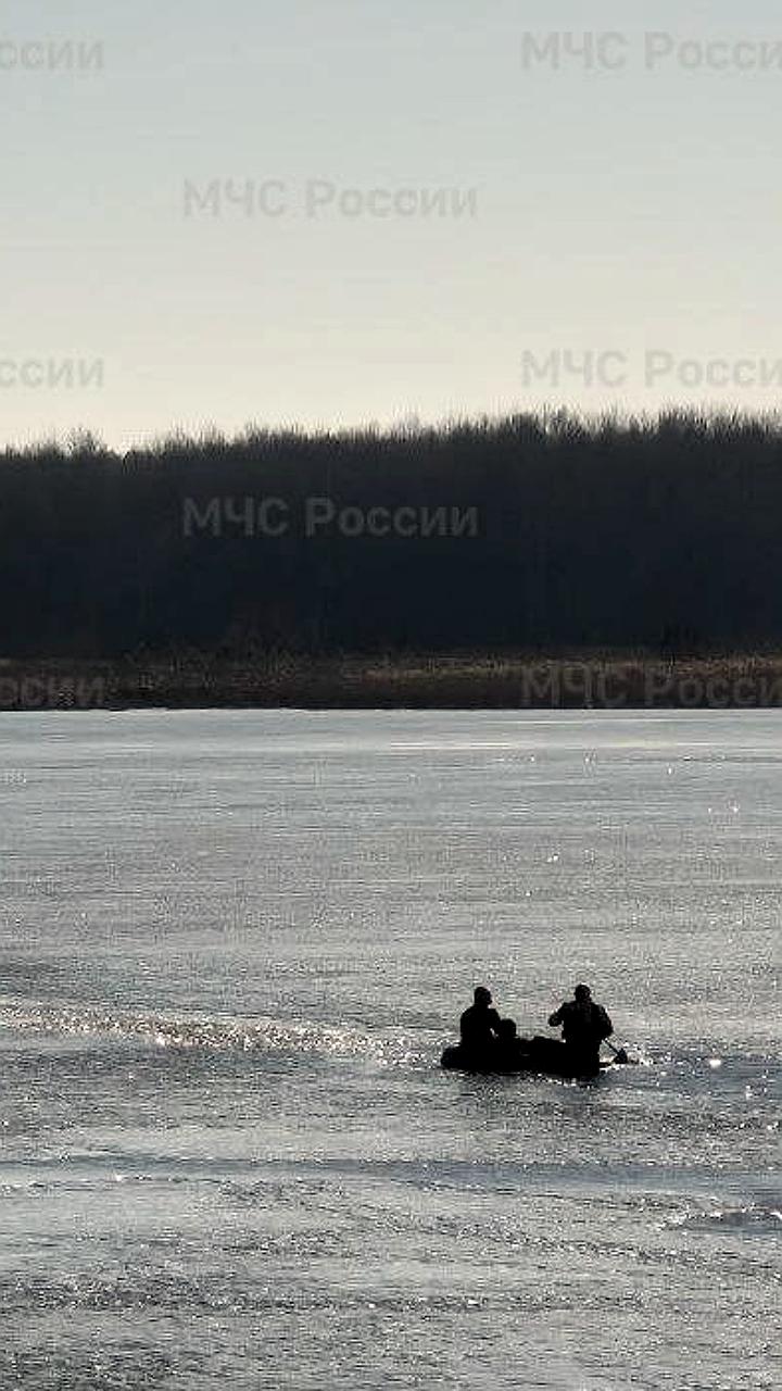 Тела молодых людей извлечены из водоемов в Брянске и Борском районе